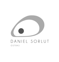 Daniel Sorlut